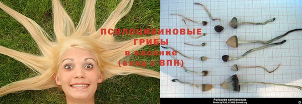 Альфа ПВП Осинники
