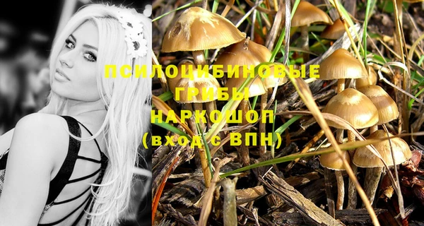 прущий лед Осташков